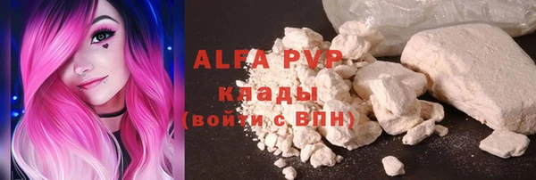 индика Белокуриха