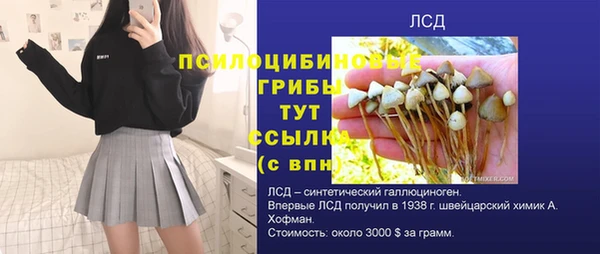 индика Белокуриха