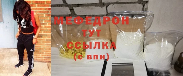 индика Белокуриха