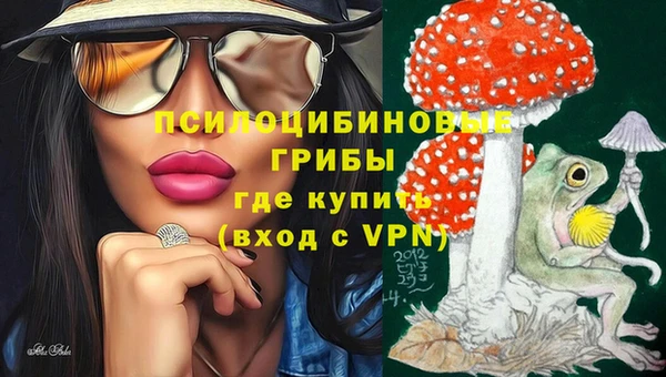 индика Белокуриха