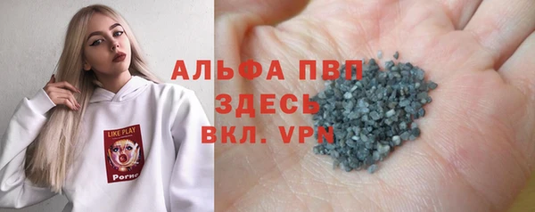 индика Белокуриха
