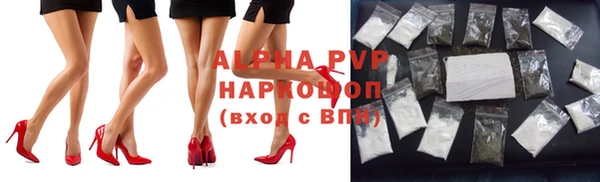 трава Беломорск