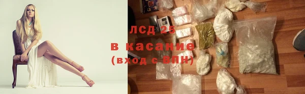 индика Белокуриха