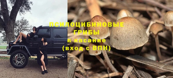 эйфоретик Белоозёрский