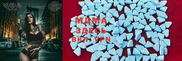 индика Белокуриха
