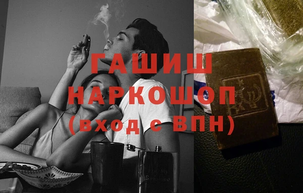 индика Белокуриха