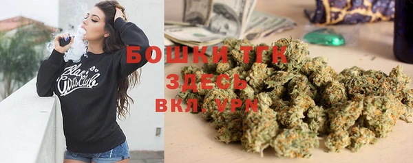 индика Белокуриха