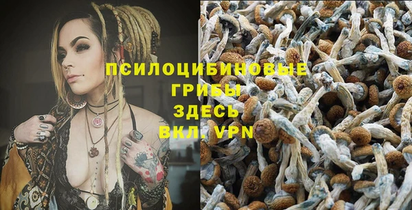 трава Беломорск