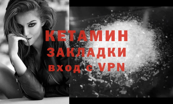 индика Белокуриха